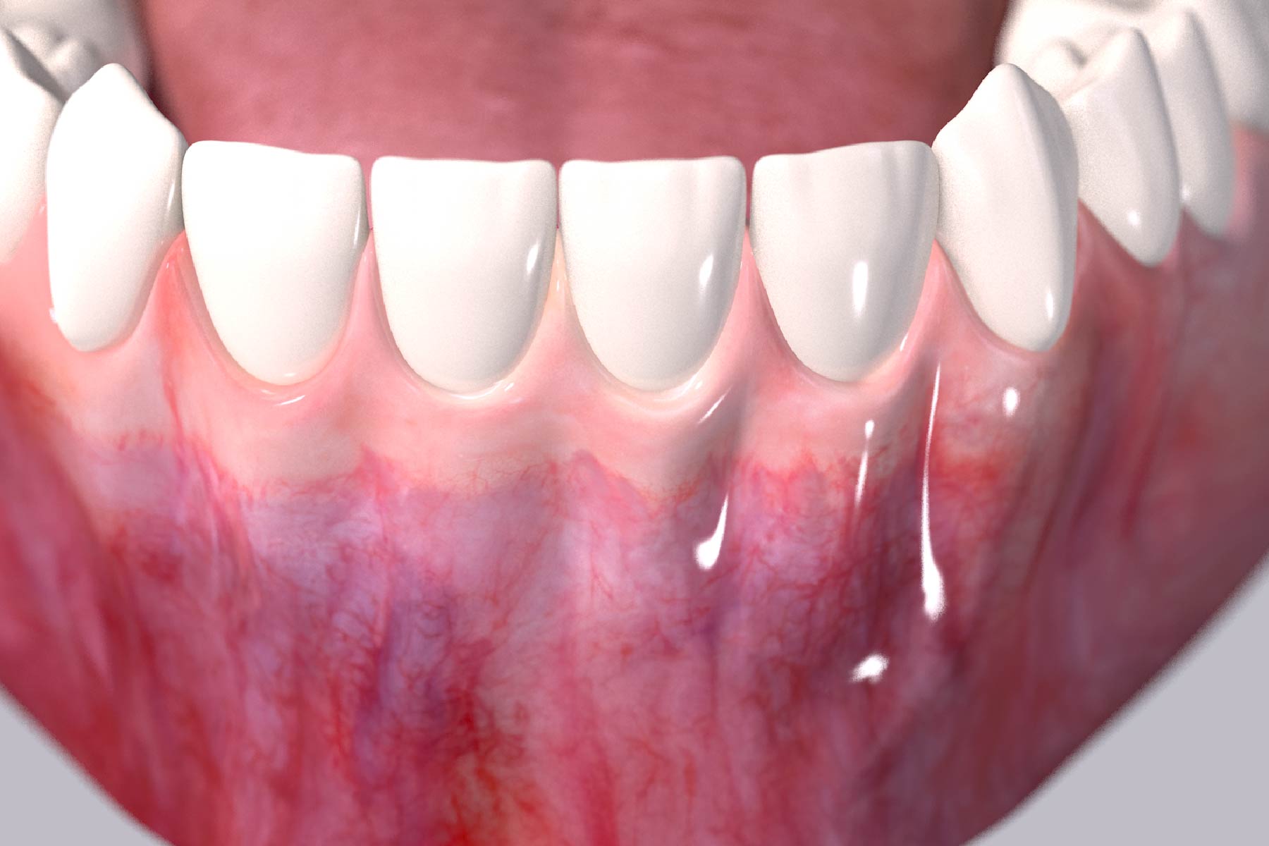 3D rendering of healthy gum tissue